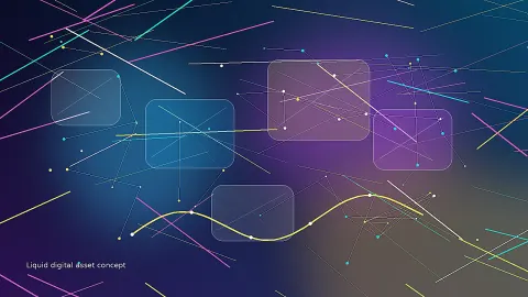 Liquid Digital Assets: The Macro Liquidity of Short Form .com Portfolios